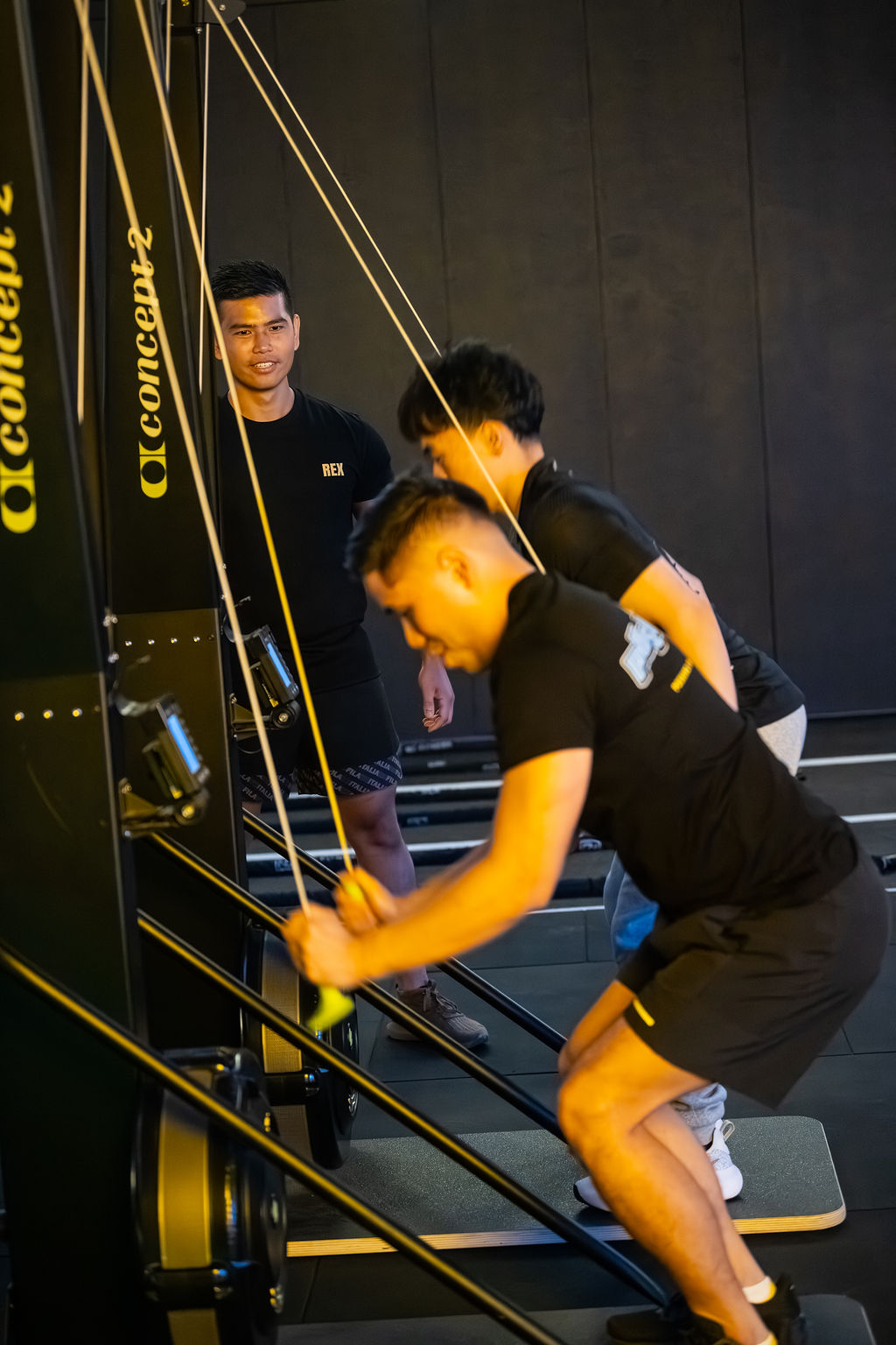 Push N Pull Fitness